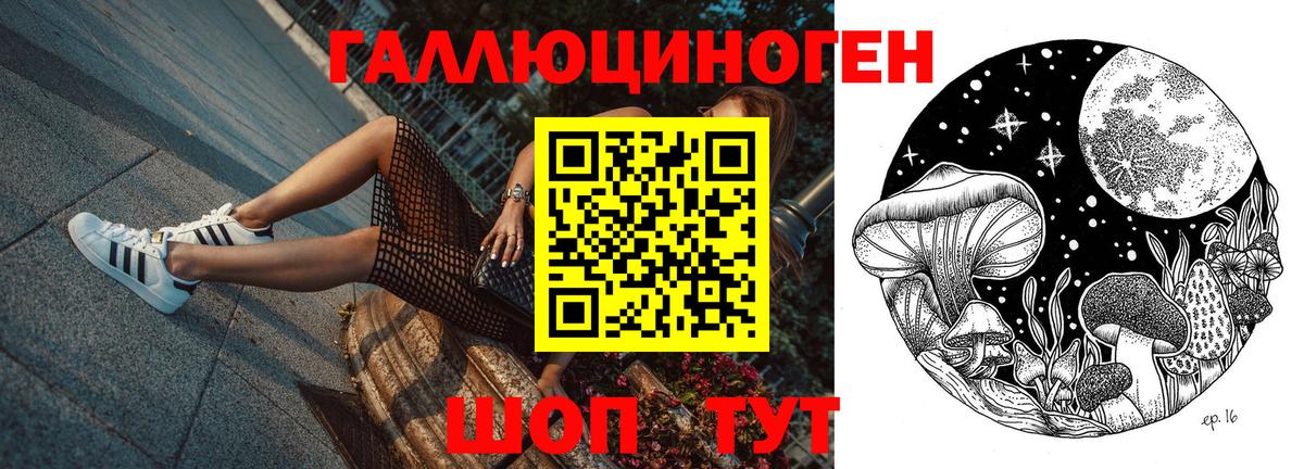 Псилоцибиновые грибы Cubensis Южноуральск